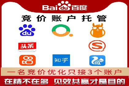 解析SEM主管在竞争激烈市场中的生存之道——以成功案例为鉴